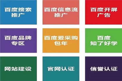 案例剖析：SEM竞价助力品牌建设